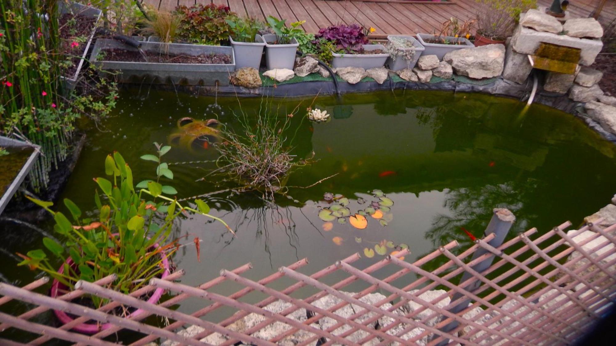Le Clos Des Passiflores Pons Eksteriør bilde
